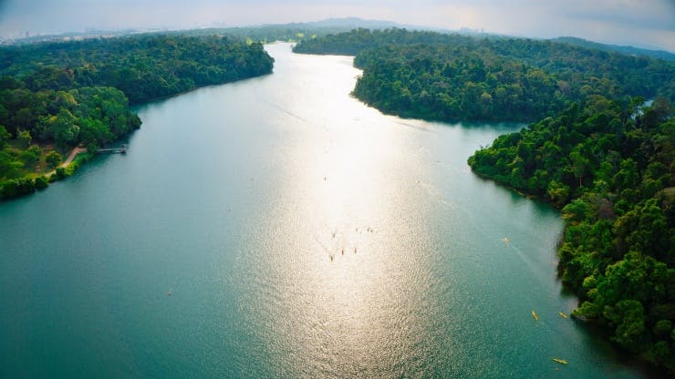 Macritchie Reservoir