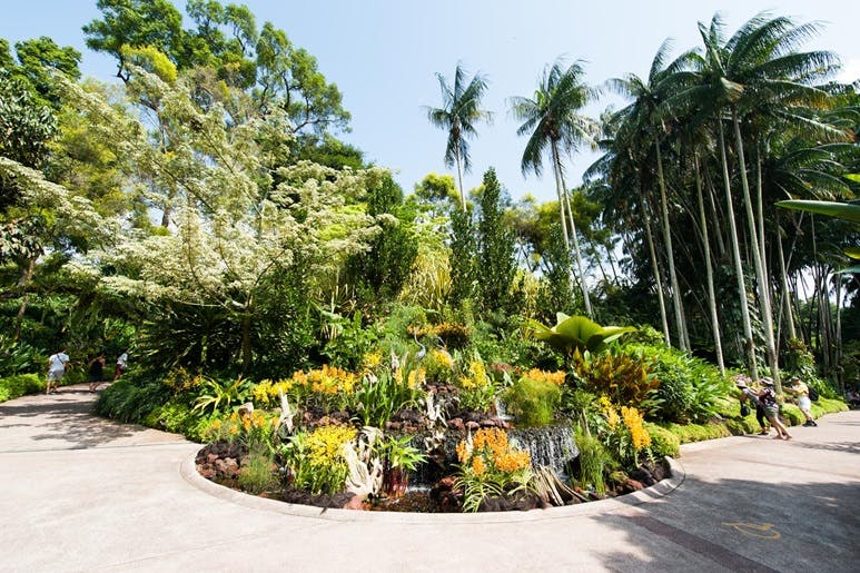 National Orchird Garden