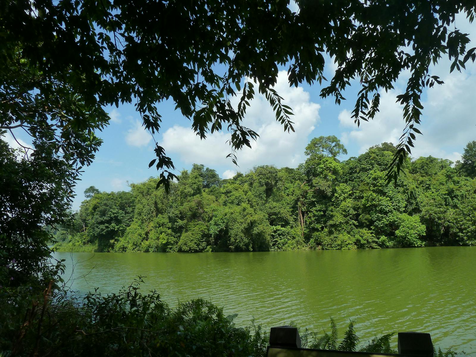 Lower Peirce Reservoir