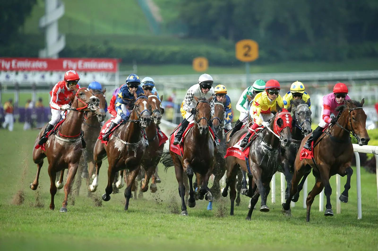 Horse racing at Singapore Turf Club, which residents of Hyll on Holland can watch.