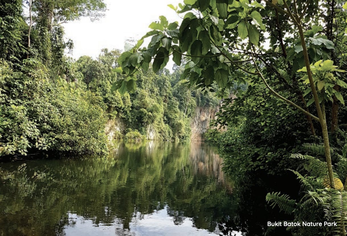 Bukit Batok Nature Park. Source: URA