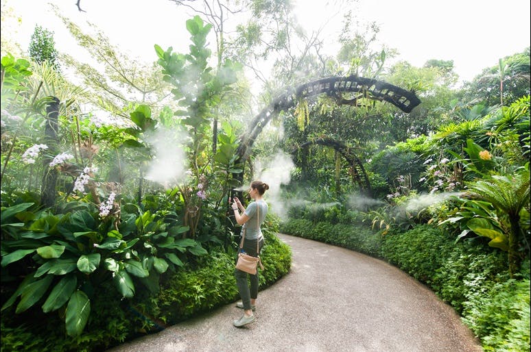 National Orchird Garden at Singapore Botanic Gardens