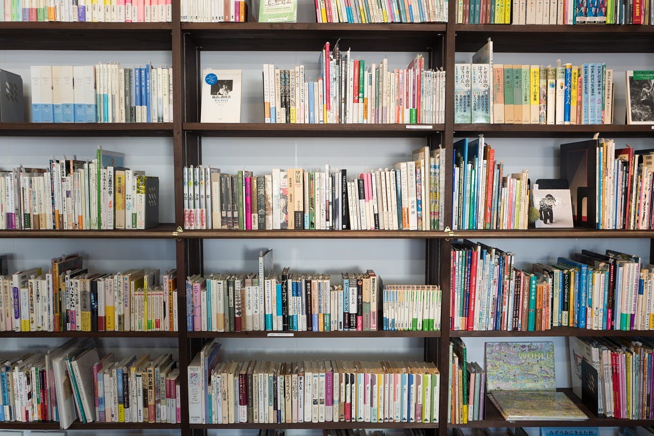 Shelves of library books
