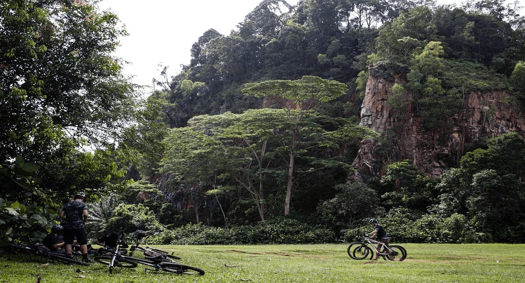 Cycling Track in Bukit Timah Nature Reserve