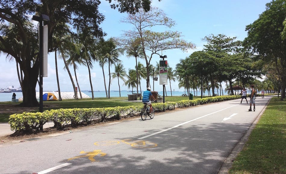 Wind down by renting a bike at East Coast Park.