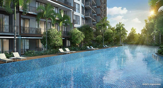 Enjoy a relaxing swim amongst lush greenery at Forest Woods.
