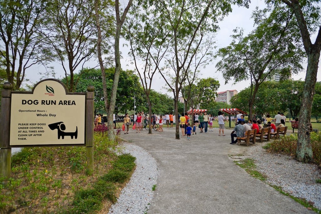 Bishan's Dog Run Area