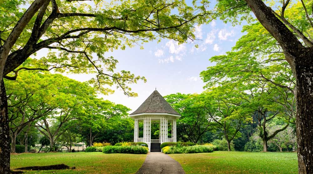 A change of scenery is readily available when living at Les Maisons Nassim. The fields surrounding the band stand at the Botanic Gardens is a popular spot to have picnics.
