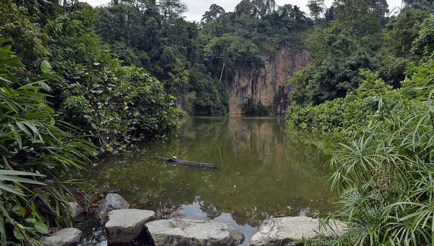 Bukit Timah Nature Reserve