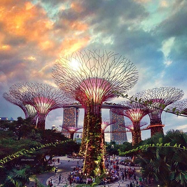 Take a stroll along Gardens by the Bay.