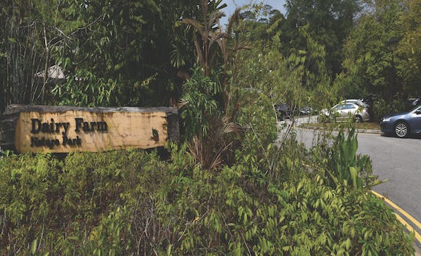 Dairy Farm Nature Park is one of the many nature spots for residents of Dairy Farm Residences to traverse.