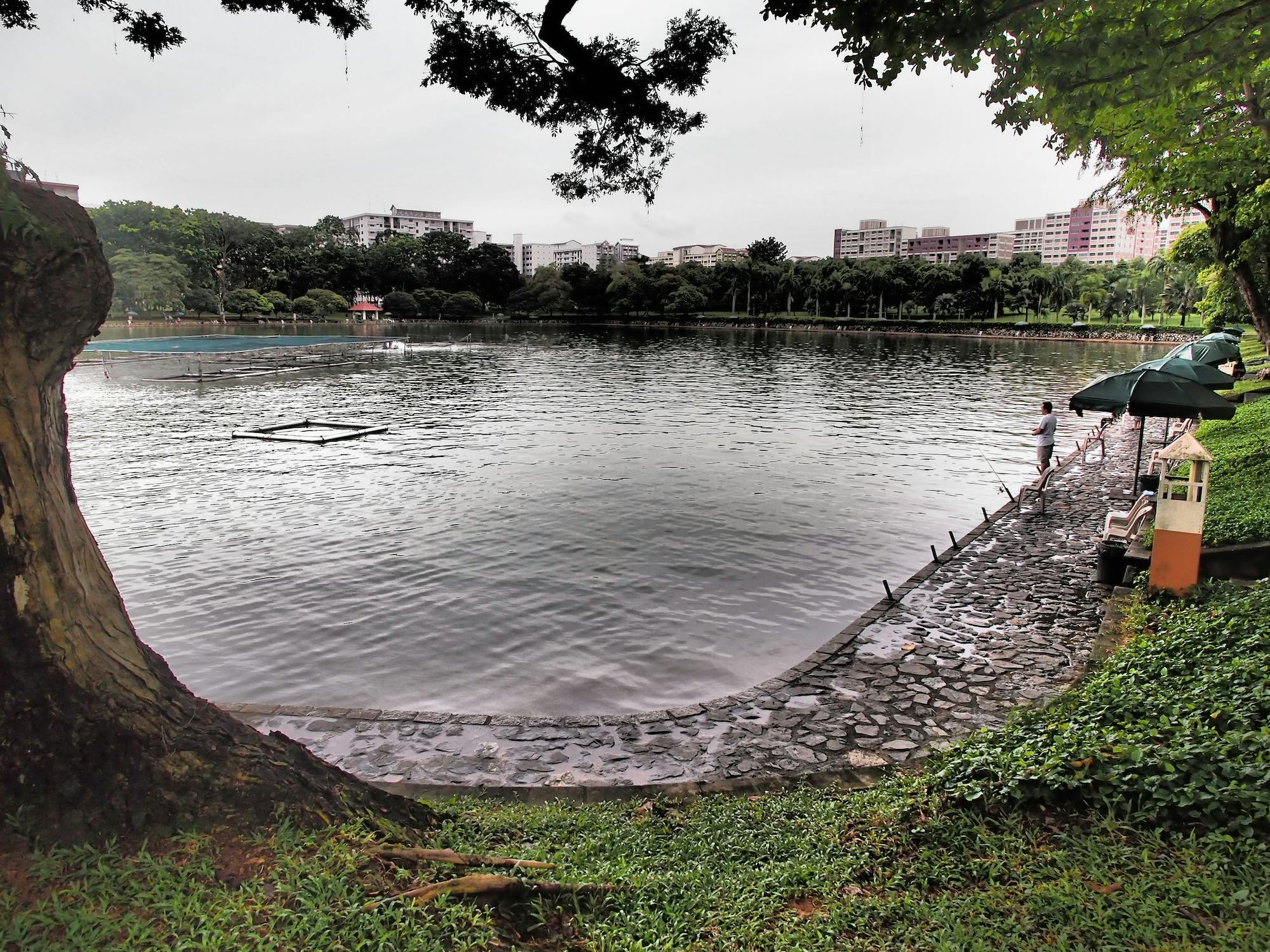 A man fishes at the marine pond of Pasir Ris Town Park