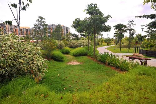 Greenwood Sanctuary @ Admiralty