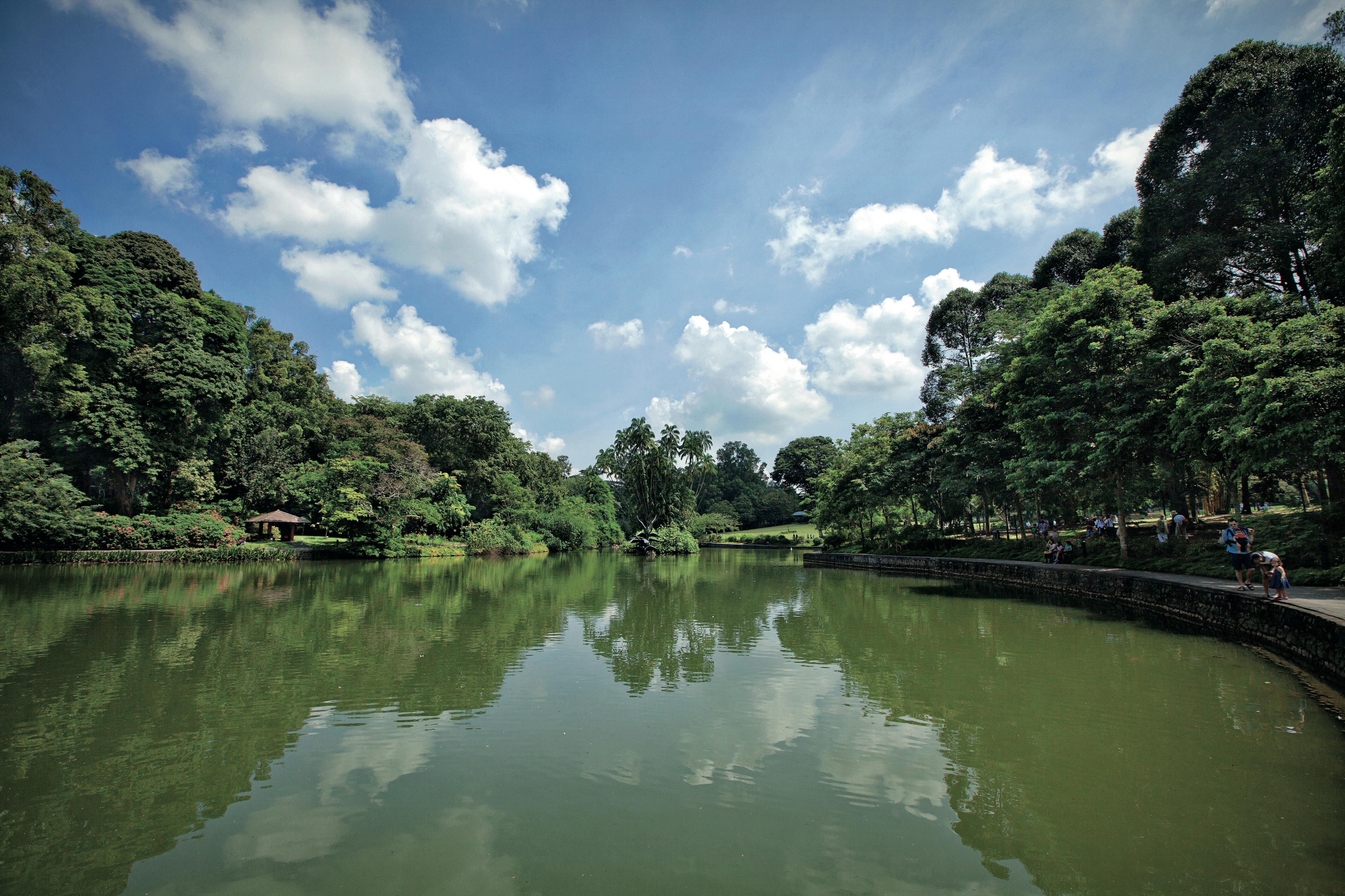Nature park near Wilshire Residences