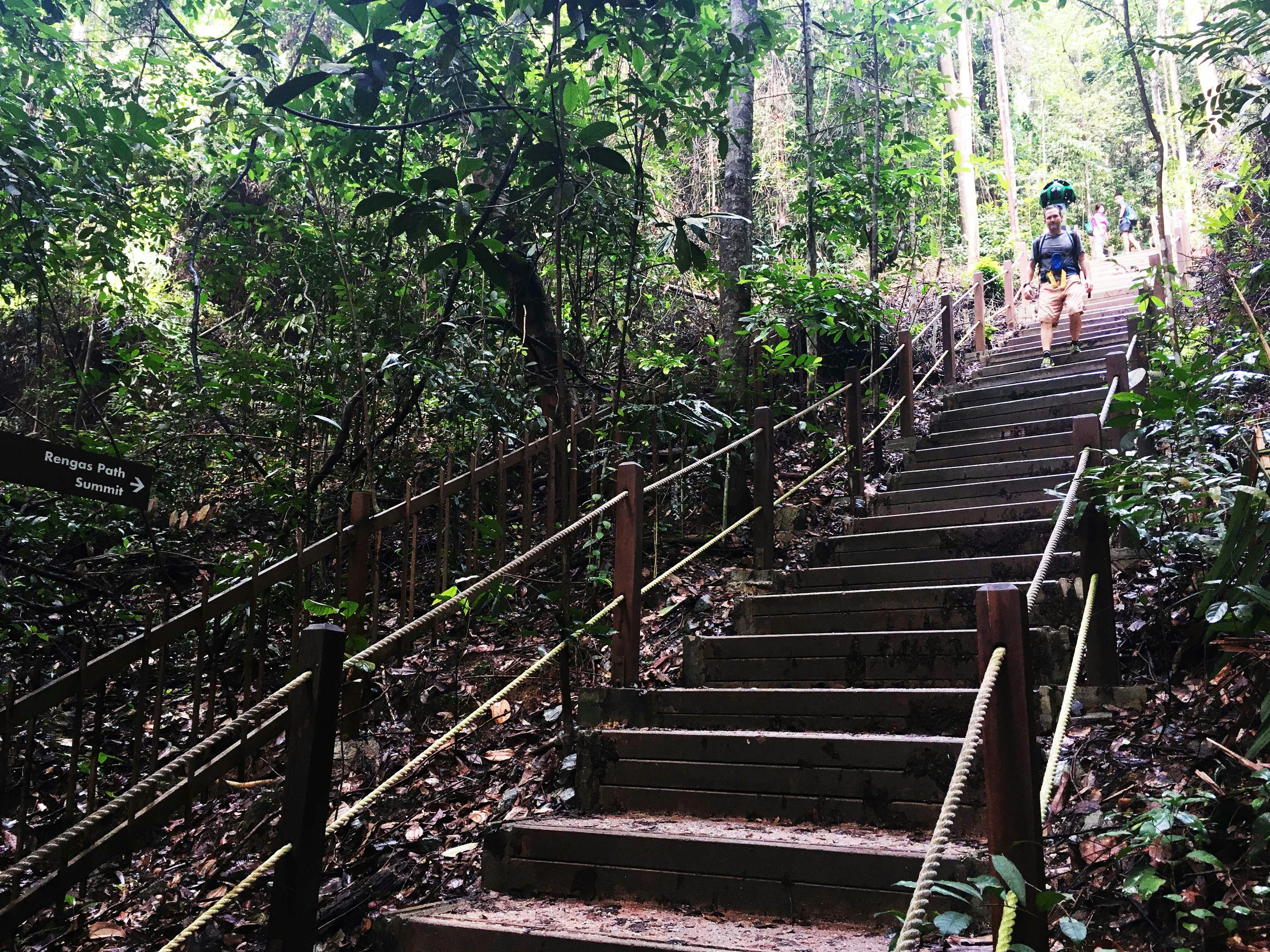 Take a leisure stroll at Bukit Timah Nature Reserve