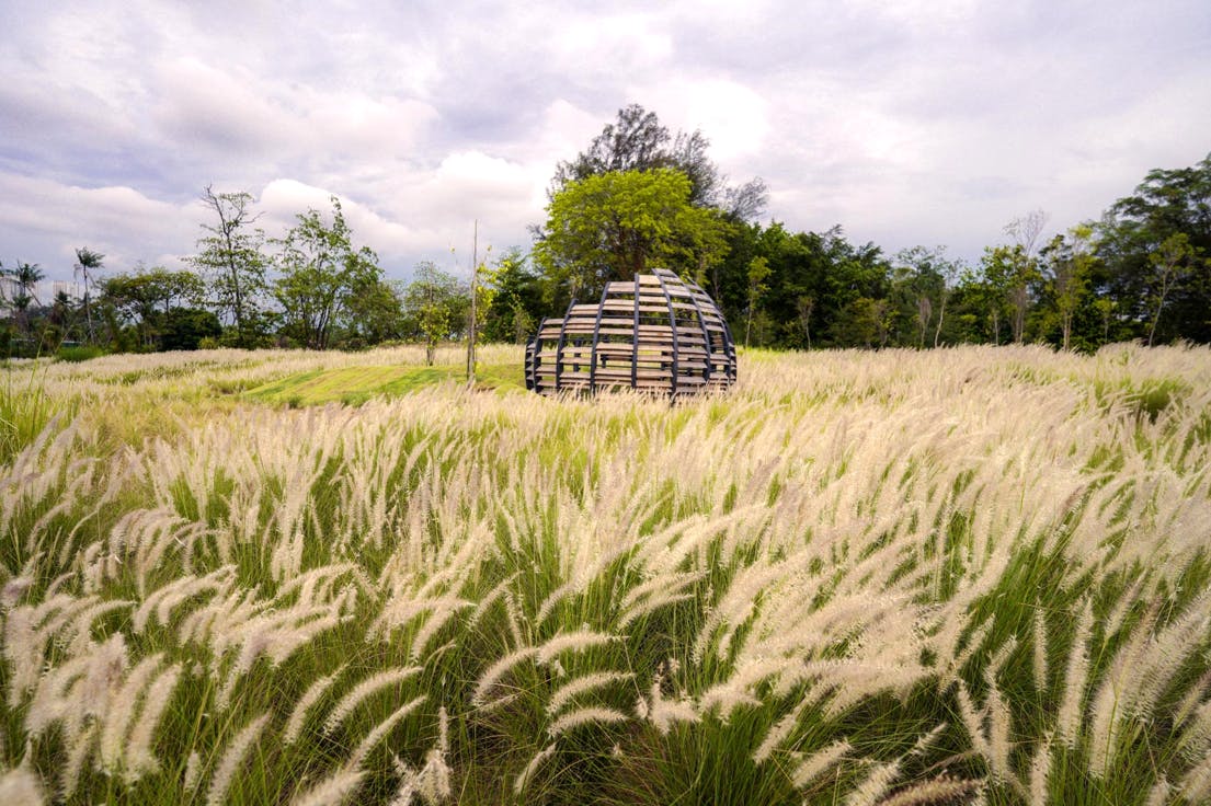 Grasslands at Jurong Lake Garden