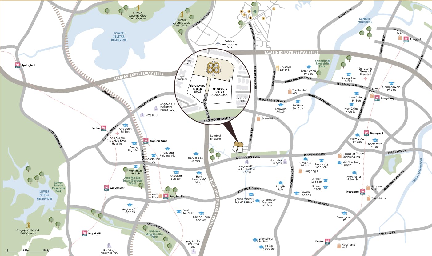 belgravia ace location map