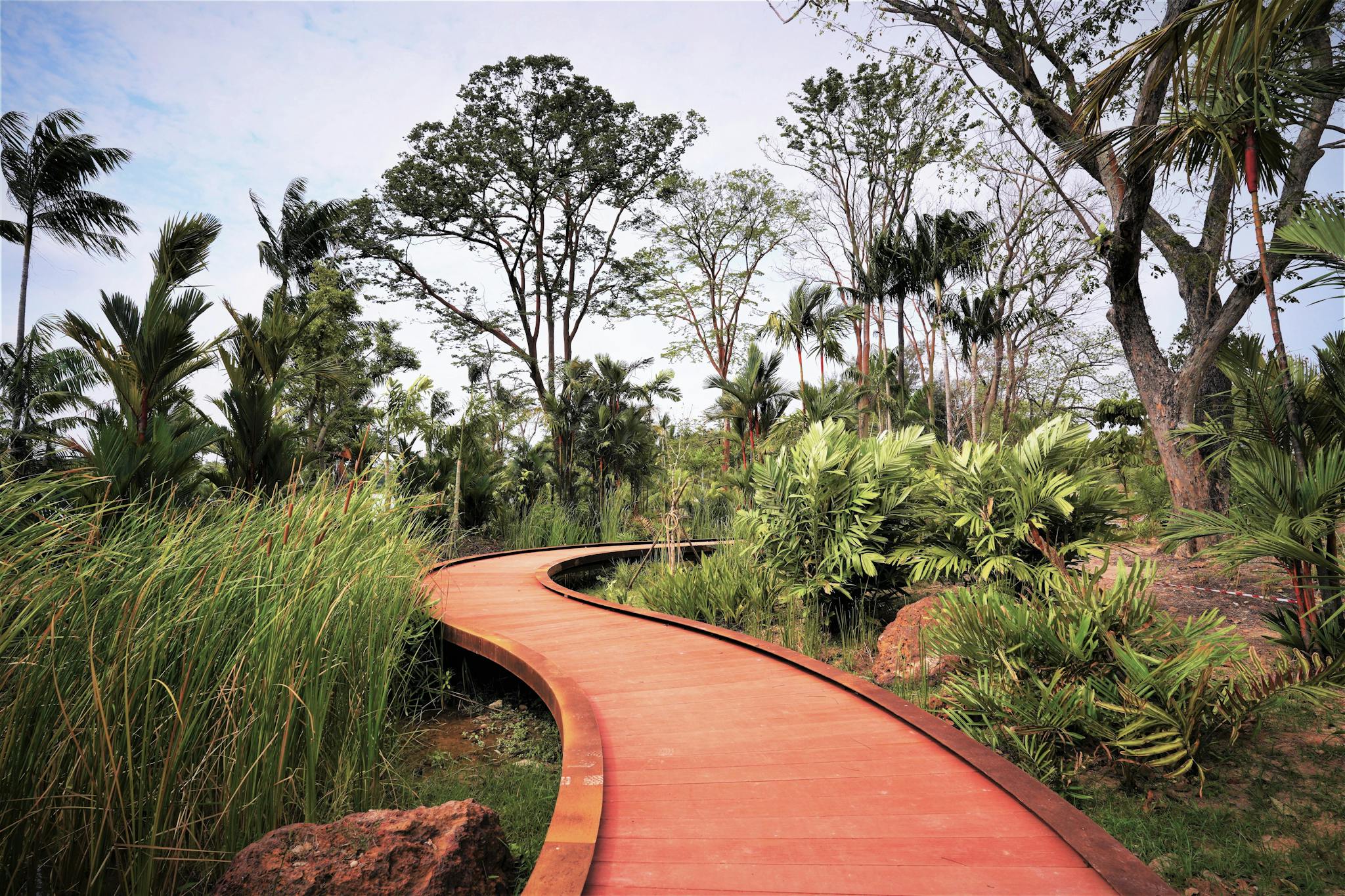Rasau Walk. Source: National Parks Singapore