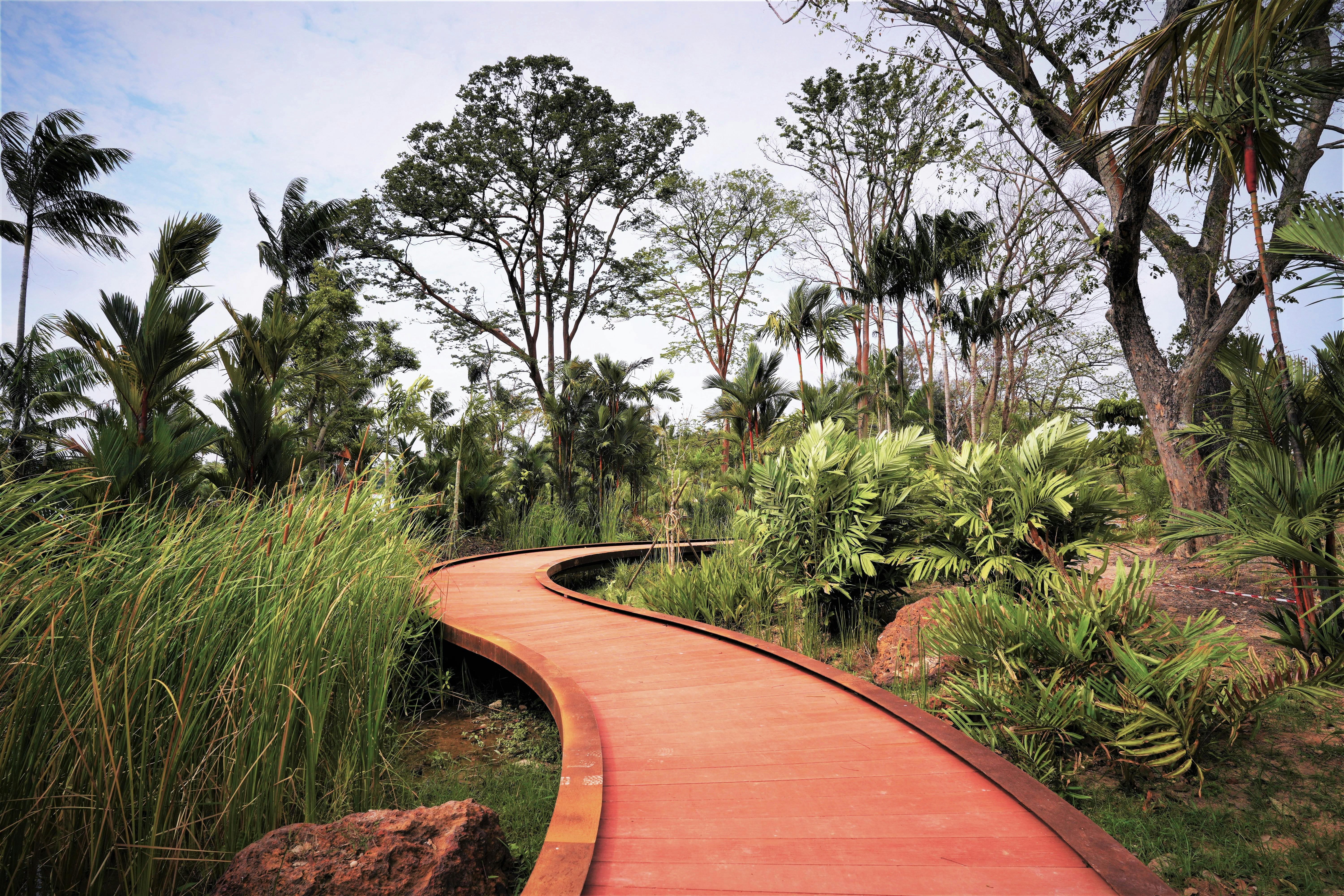 Rasau Walk. Source: National Parks Singapore