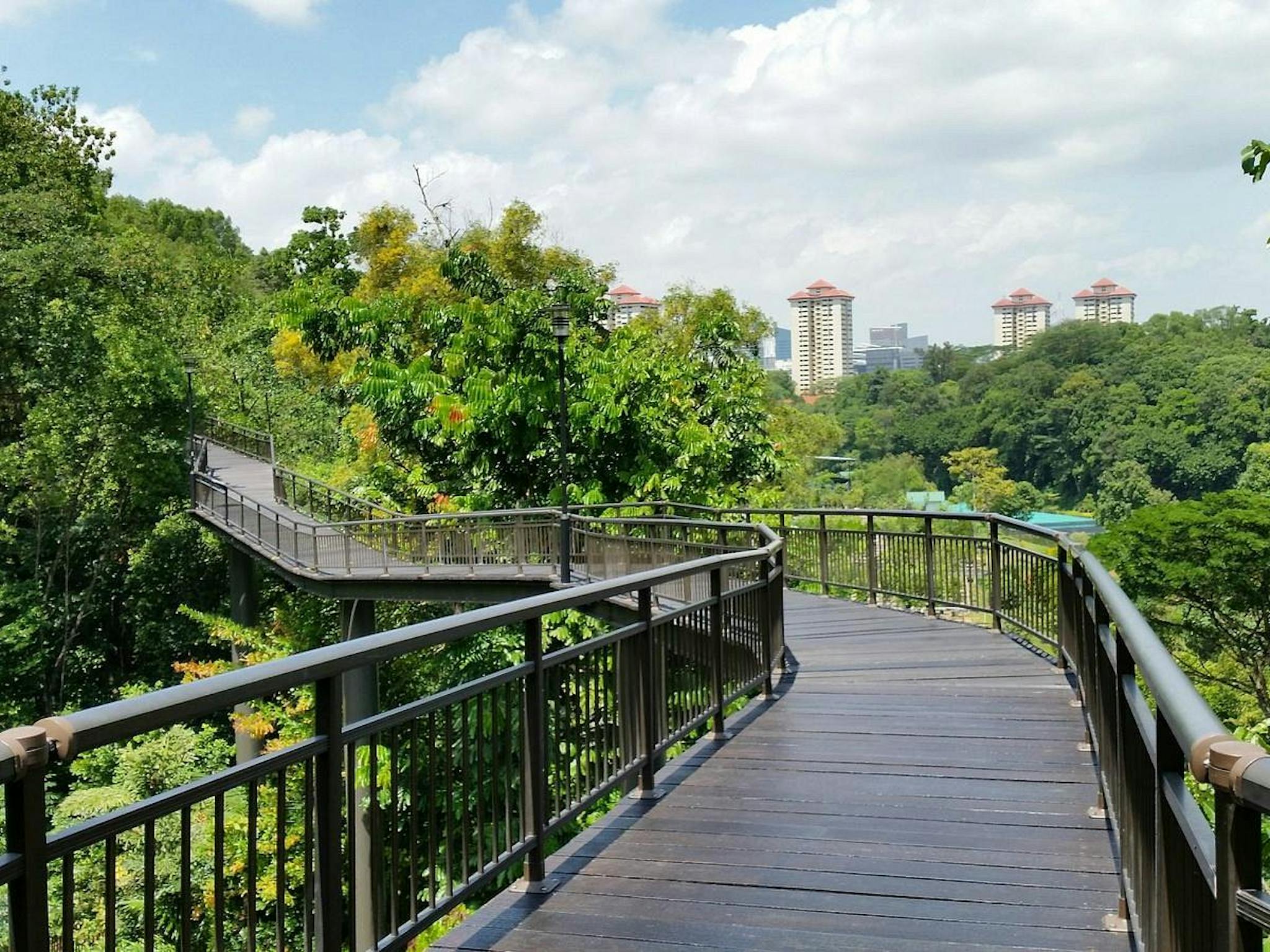 Kent Ridge Park