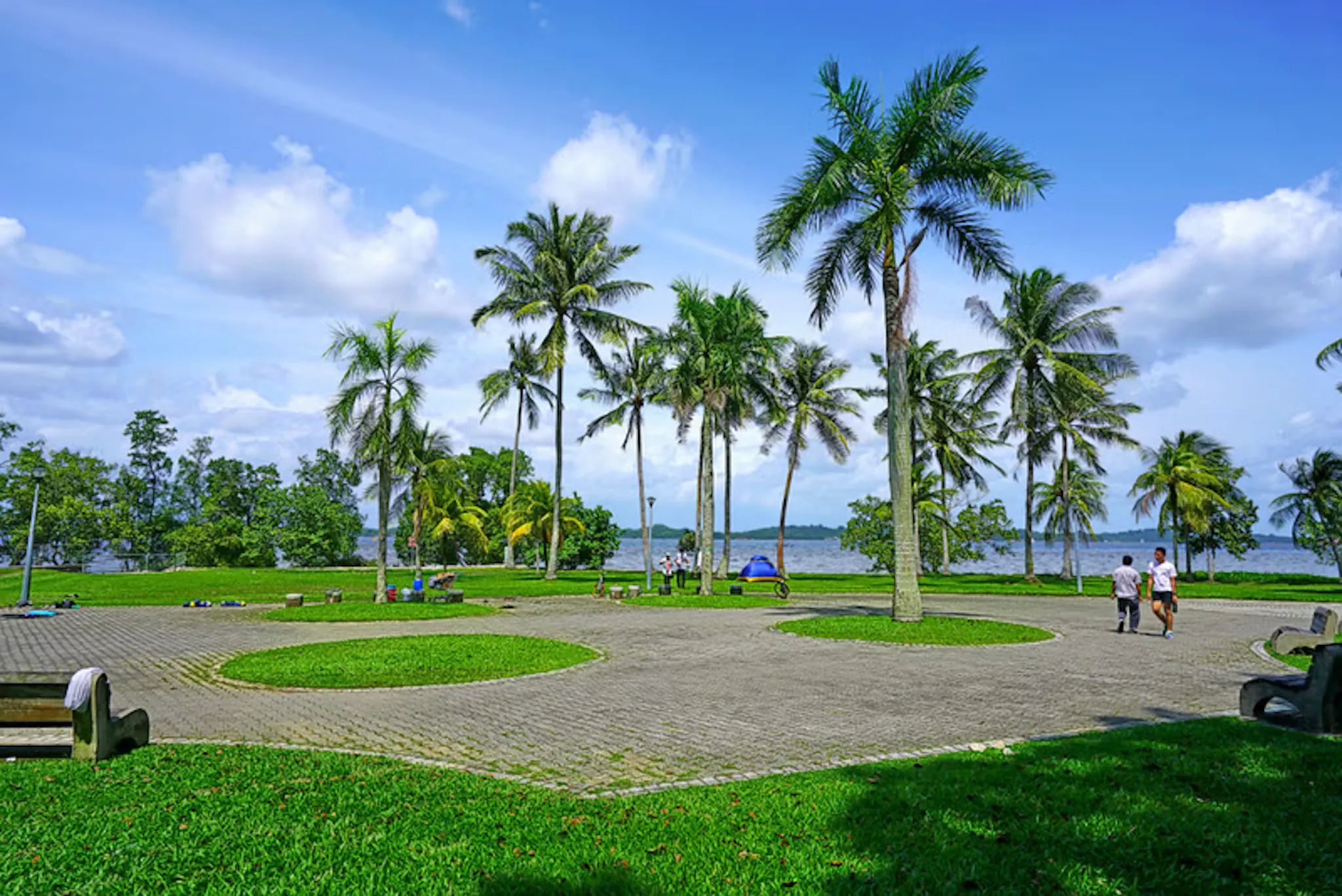 Jalan Loyang Besar EC New Launch in Pasir Ris [Updated Sep 2025]