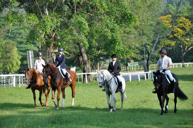 Bukit Timah Saddle Club - perfect for a weekend getaway