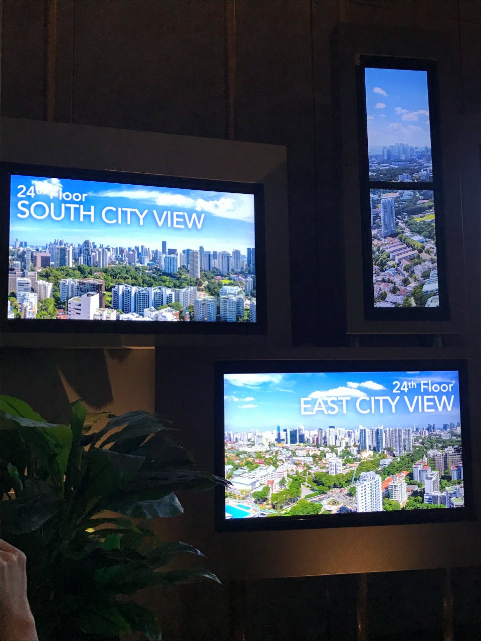 perfect ten showflat projected views