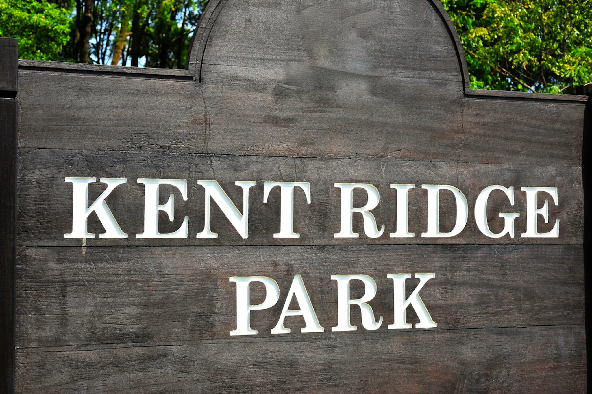 Kent Ridge Hill Residences Condo - in Buona Vista / West Coast ...