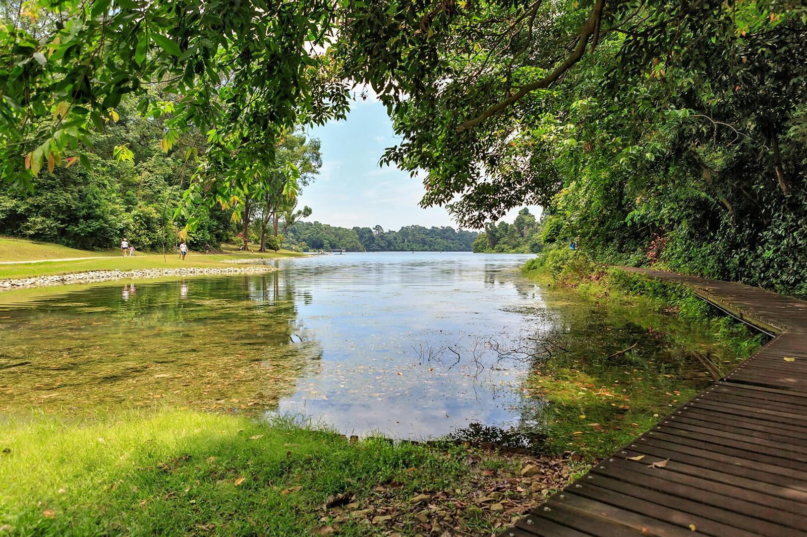 Central Catchment Nature Reserve
