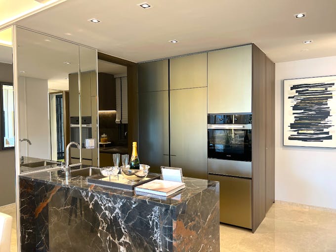 tembusu grand 4 bedroom dry kitchen