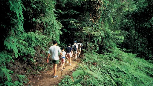 Bukit Timah Nature Reserve, near Verdale Condo