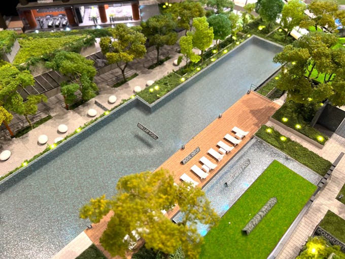 blossoms by the park pool