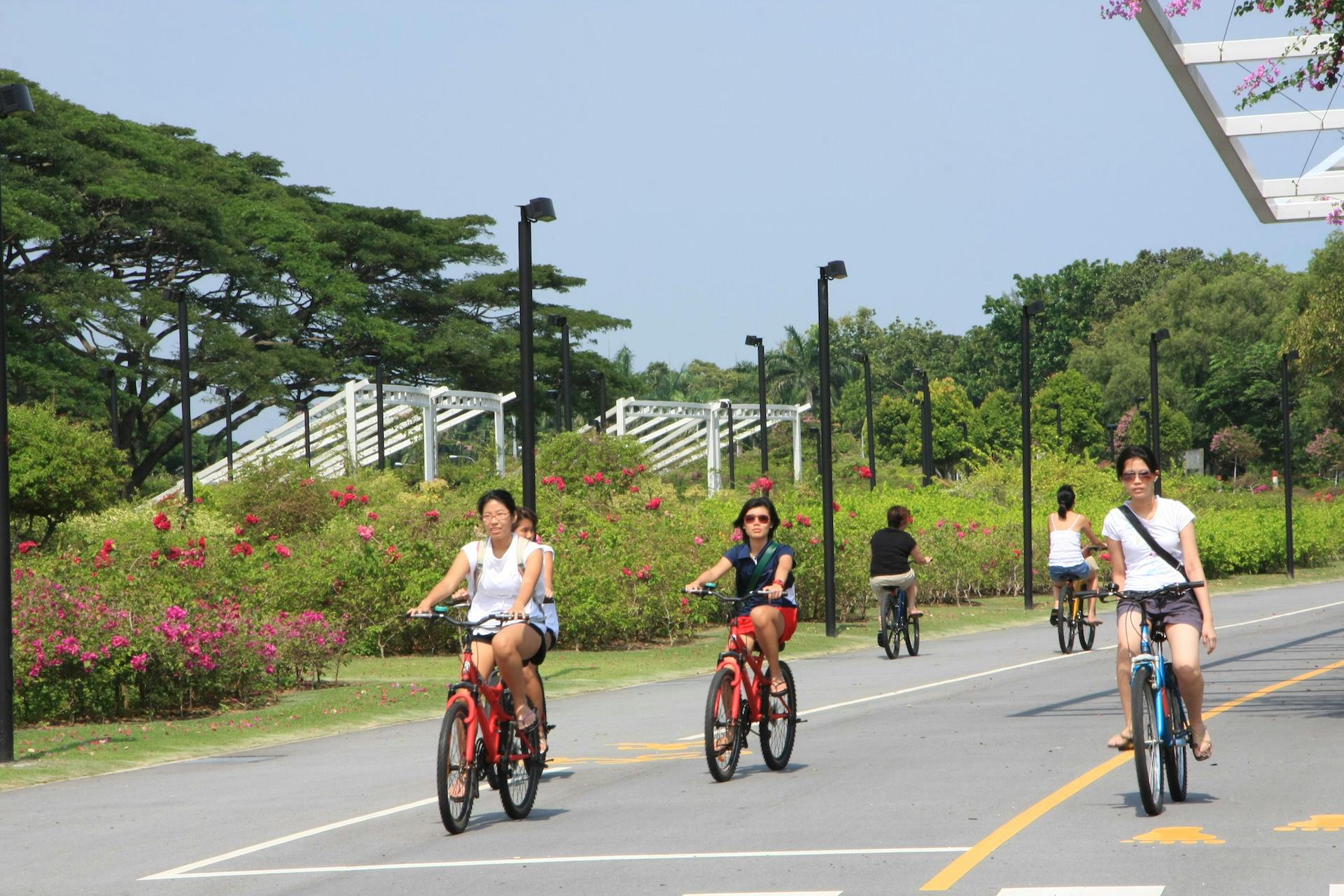 cyclists at east coast park