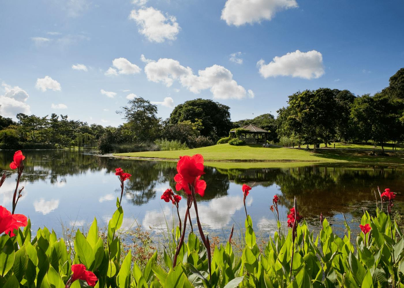 Lake at Singapore Botanic Gardens