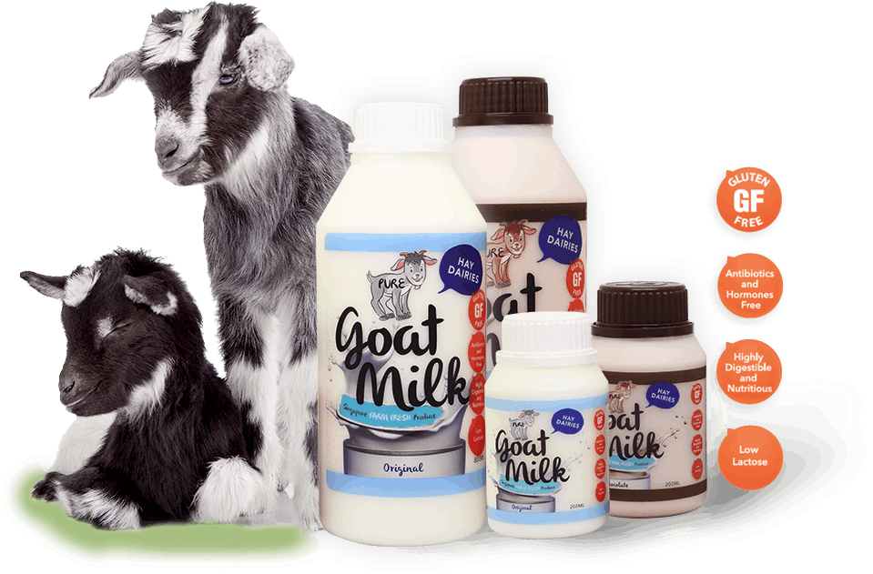 Hay Dairies goats and Goat Milk products.