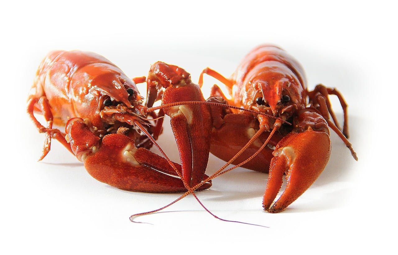 There are many seafood restaurants in Punggol.