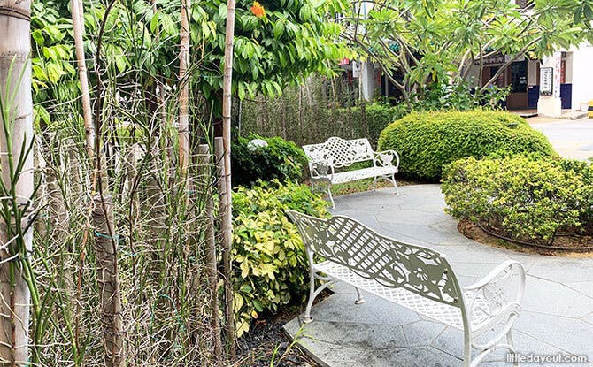 Vanda Miss Joaquim Park benches for visitors to take a break from their walk and enjoy the peaceful surroundings