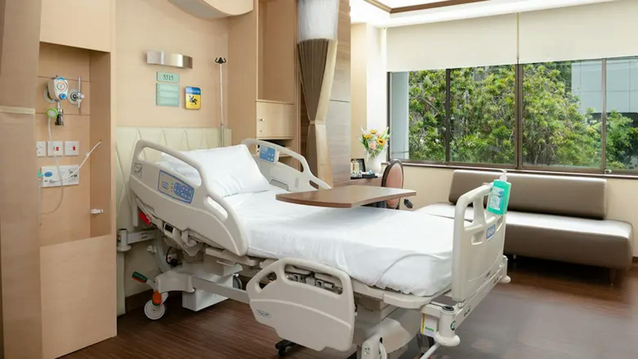Mount Elizabeth Hospital Ochard
