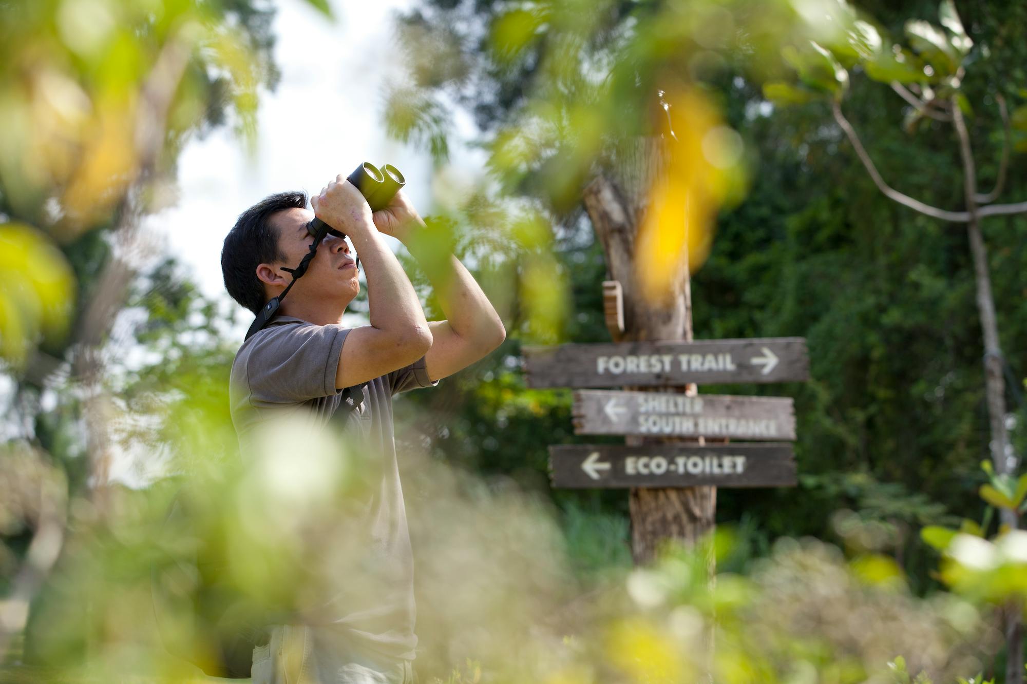 Bird watching at Tampines Eco Green