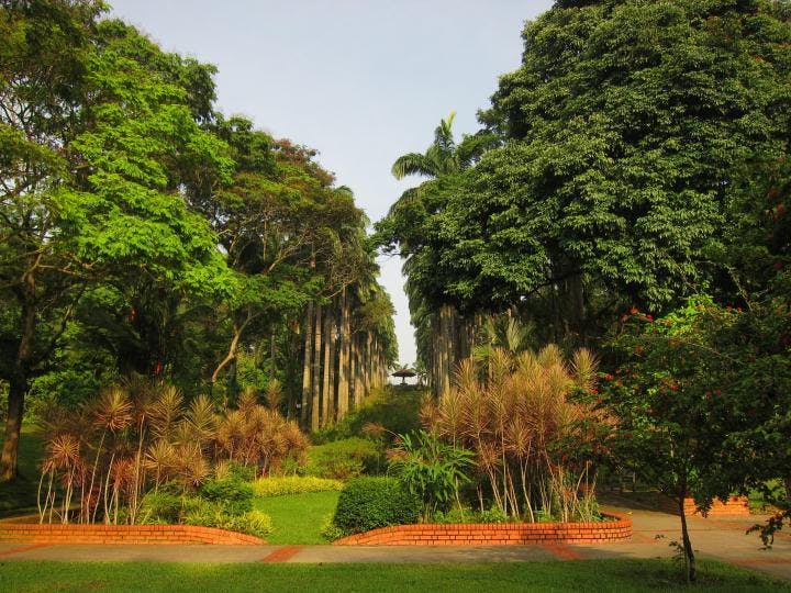 Ang Mo Kio Town Garden West