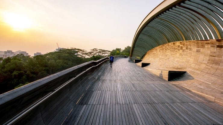 The Henderson Waves Bridge near Artra condo
