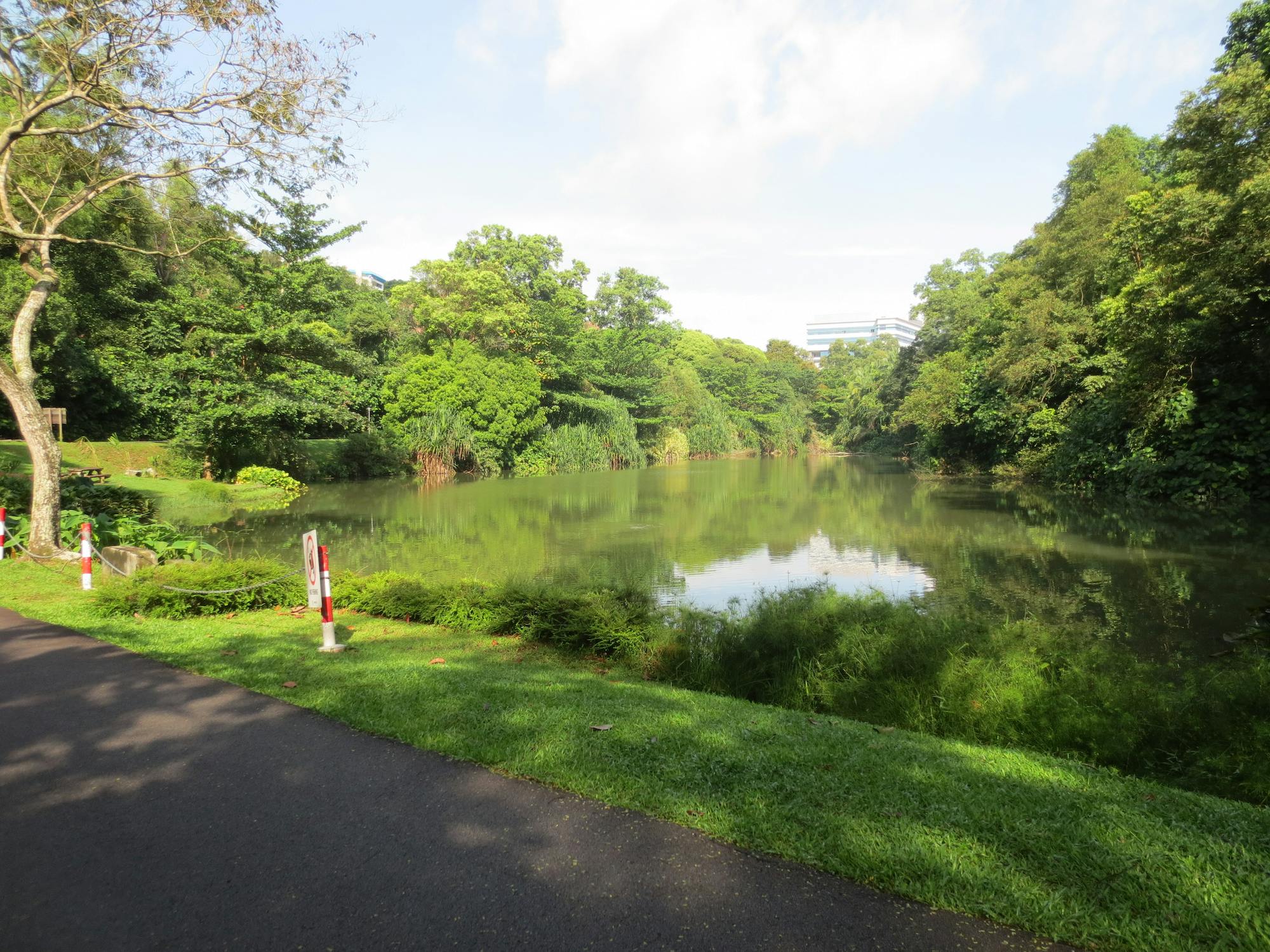 Kent Ridge Park