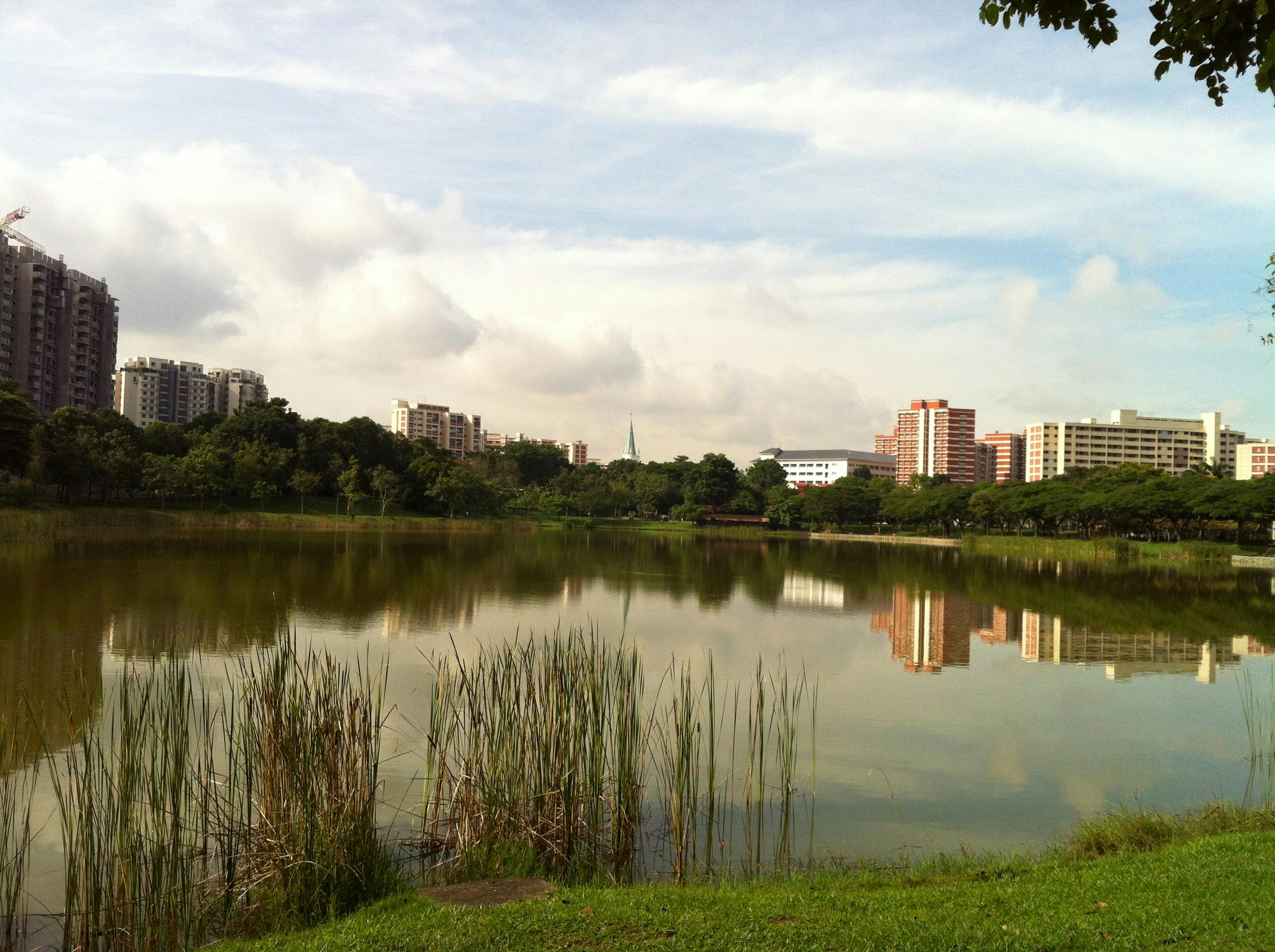 Scenic view of Punggol Park