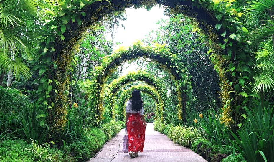 A lady stands in Singapore Botanic Gardens, which is a five-minute ride away from Hyll on Holland.