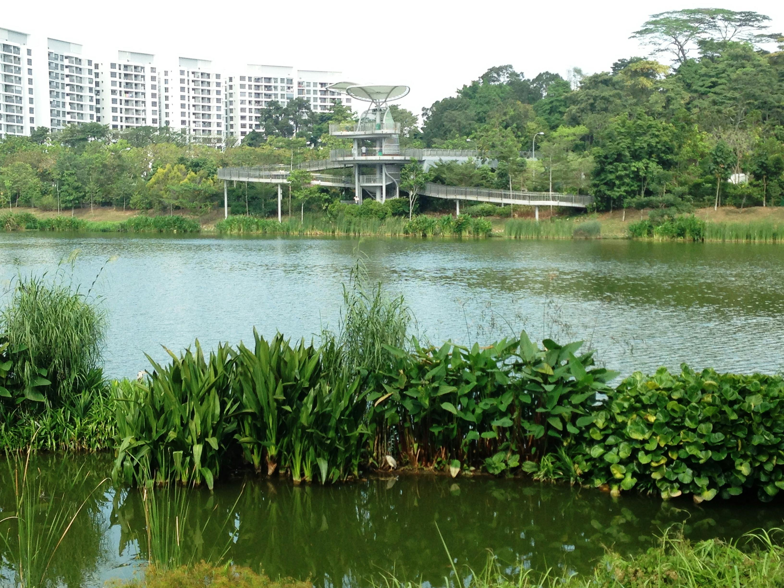 The beautiful and peaceful Yishun Neighbourhood Park