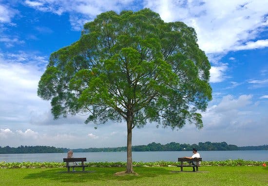 Upper Seletar Reservoir