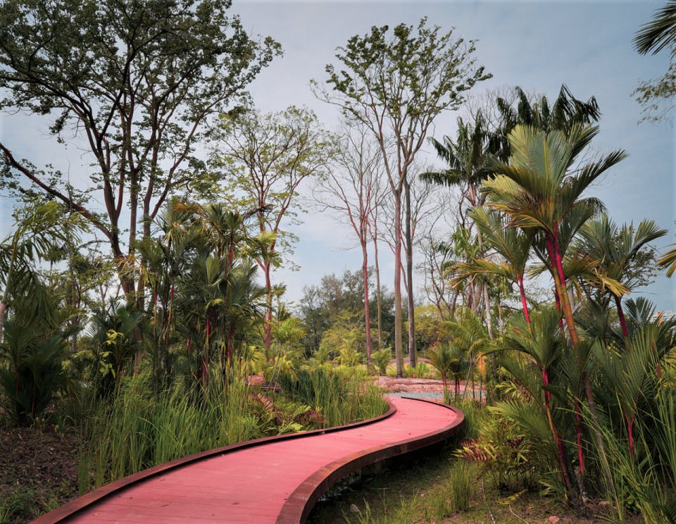 Jurong Lake Garden