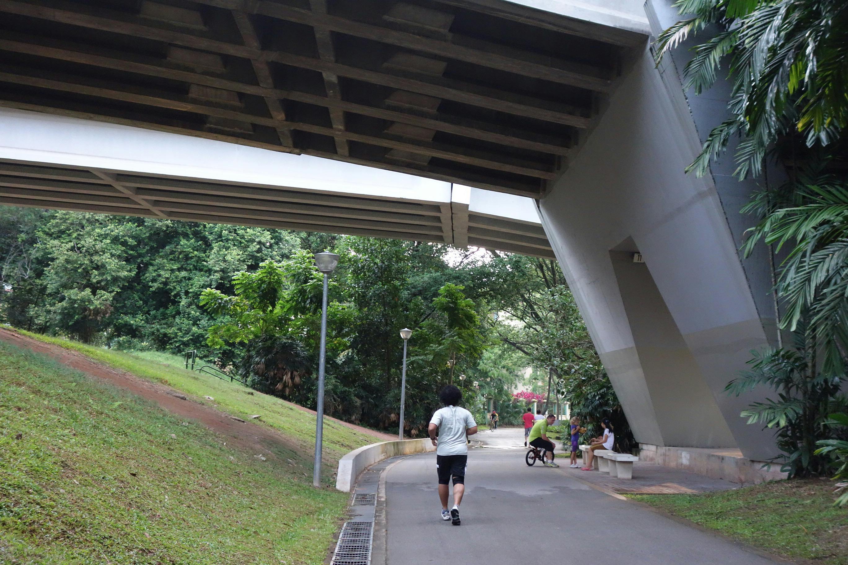 Jogging at the scenic Sungei Pandan park connector