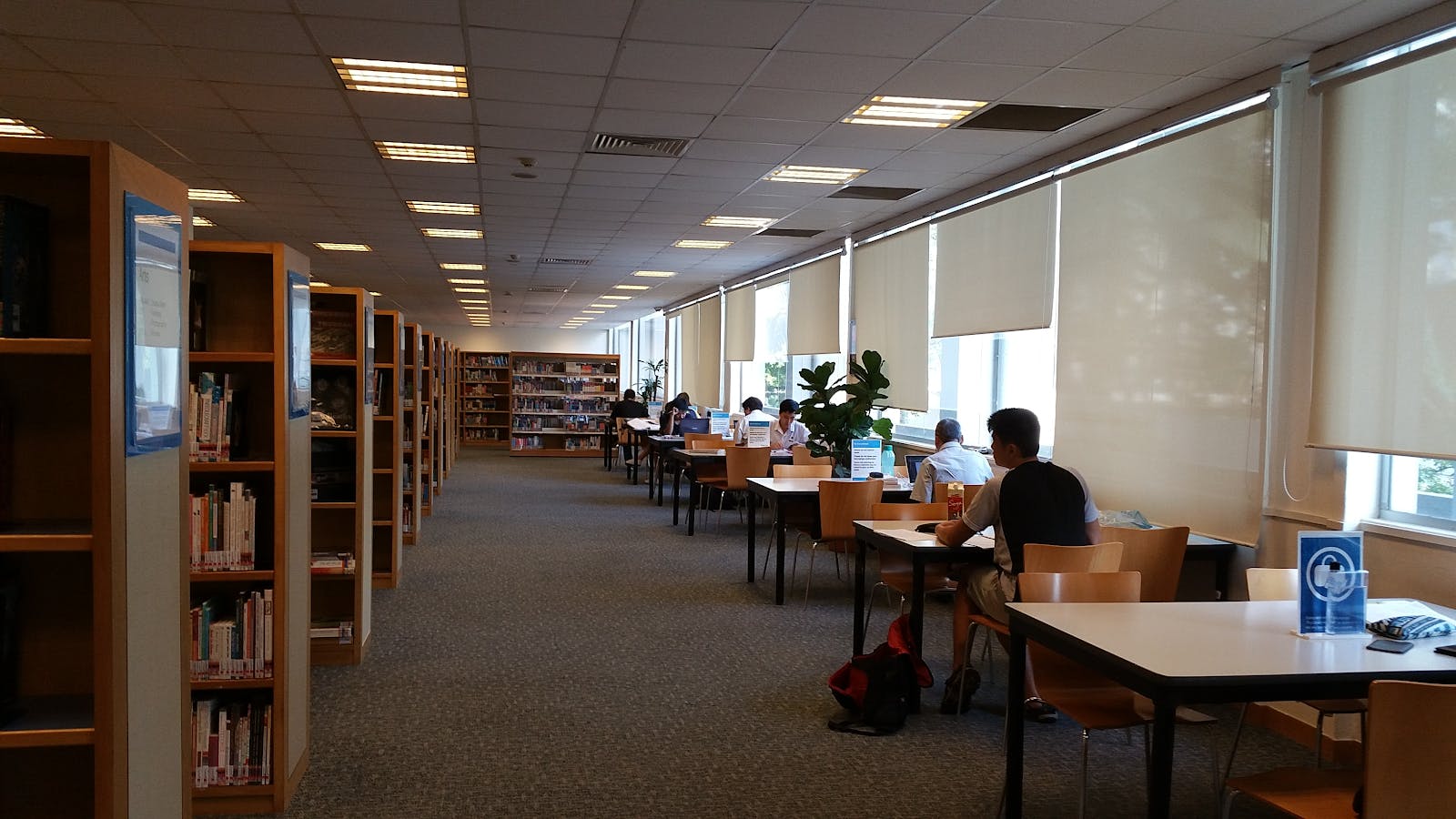 Queenstown Public Library