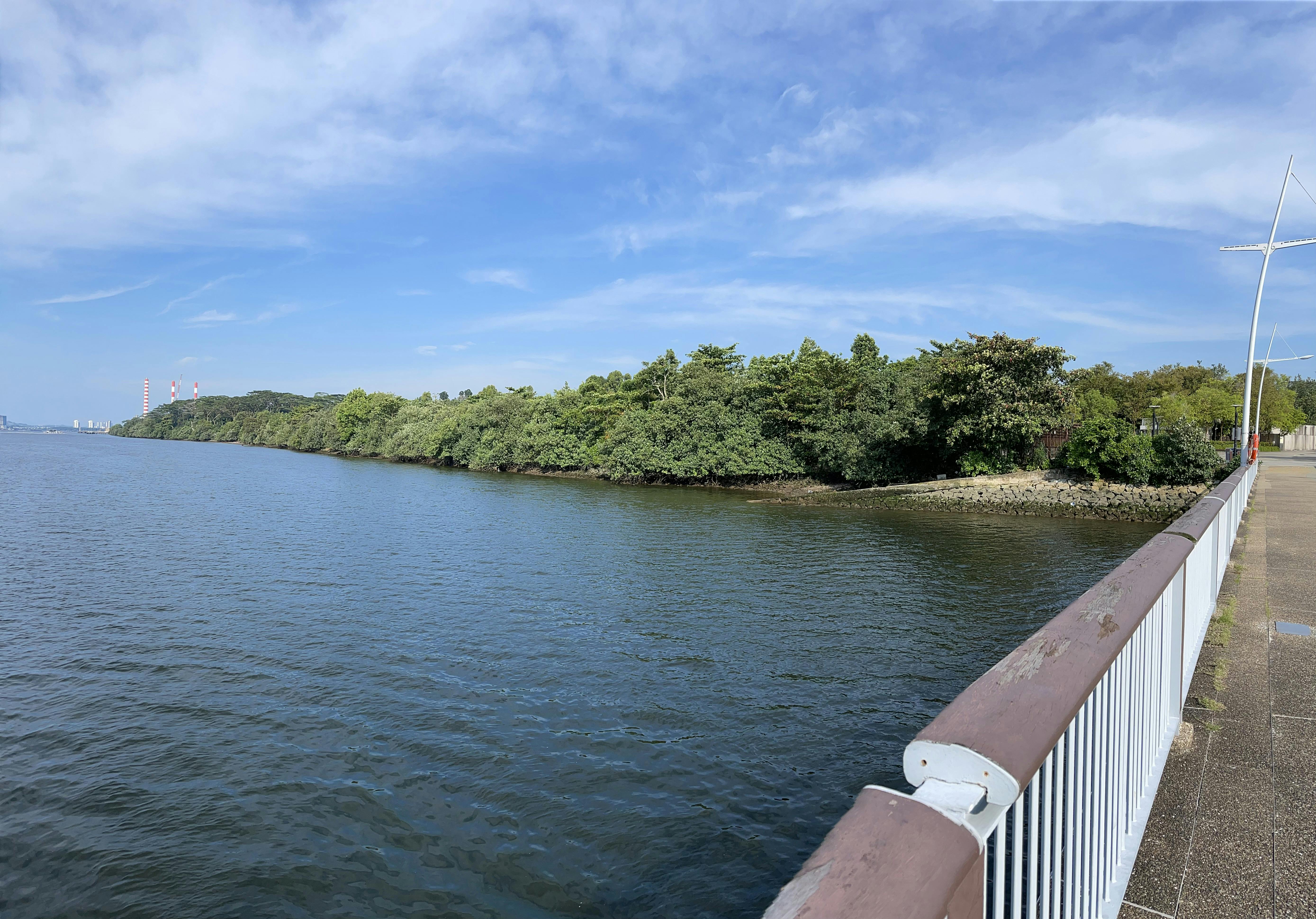 woodlands waterfront park